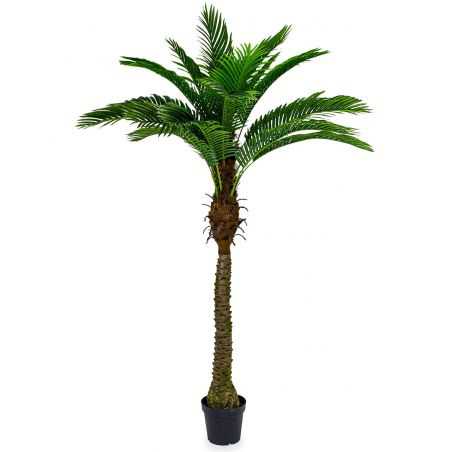 Coconut Palm Tree Artificial Trees & Plants Smithers of Stamford £180.00 Store UK, US, EU, AE,BE,CA,DK,FR,DE,IE,IT,MT,NL,NO,E...