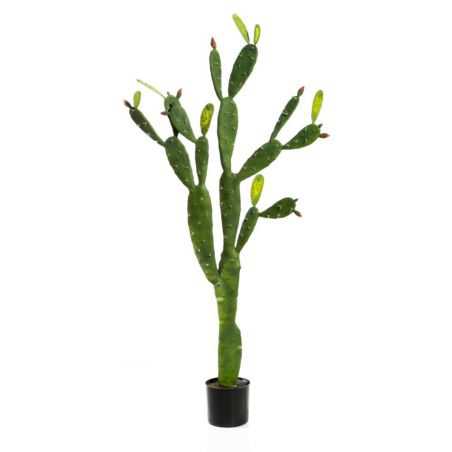 Artificial Desert Cactus Plant This And That  £159.00 Store UK, US, EU, AE,BE,CA,DK,FR,DE,IE,IT,MT,NL,NO,ES,SEArtificial Dese...