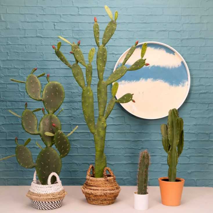 cactus desert plant fake plants artificial
