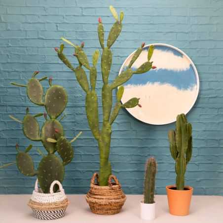 Artificial Desert Cactus Plant This And That  £159.00 Store UK, US, EU, AE,BE,CA,DK,FR,DE,IE,IT,MT,NL,NO,ES,SEArtificial Dese...