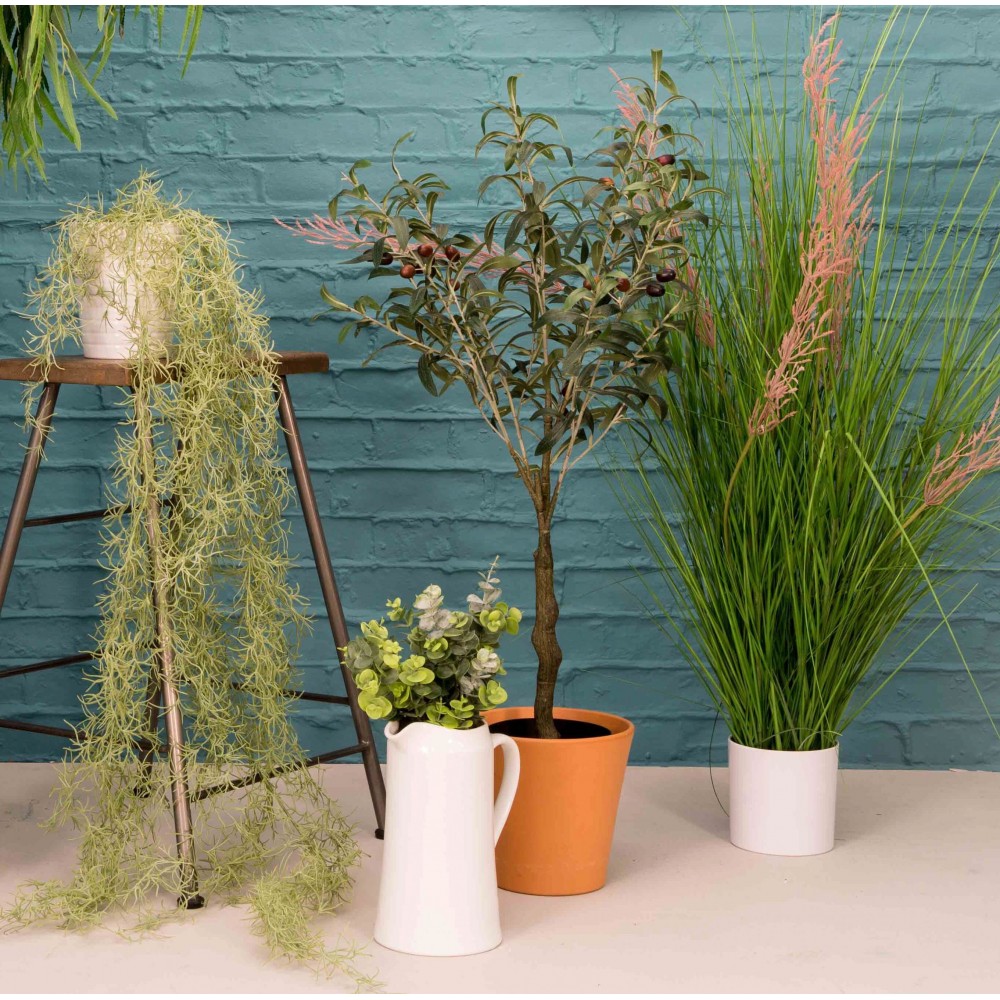 Olive Tree  Artificial Trees & Plants £83.00      product_features