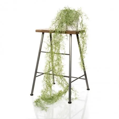 Trailing Foliage  This And That £33.00      product_features