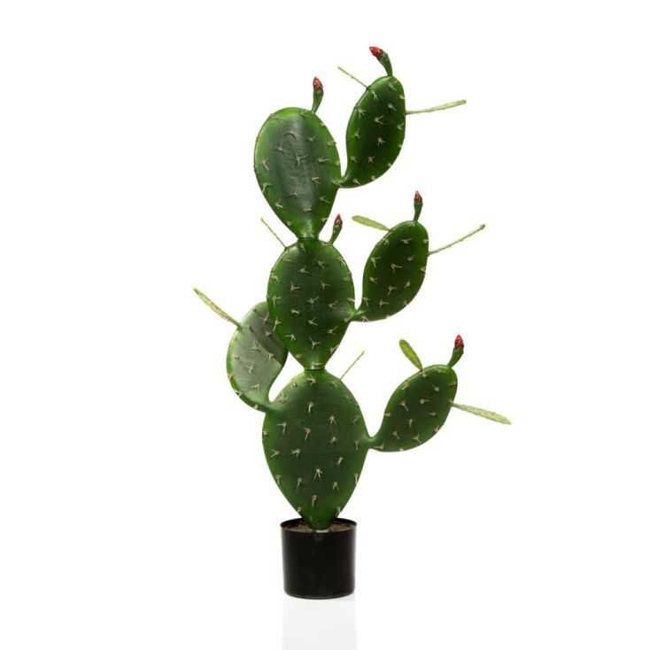 Artificial Desert Cactus Plant This And That £159.00 Store UK, US, EU, AE,BE,CA,DK,FR,DE,IE,IT,MT,NL,NO,ES,SEArtificial Dese...