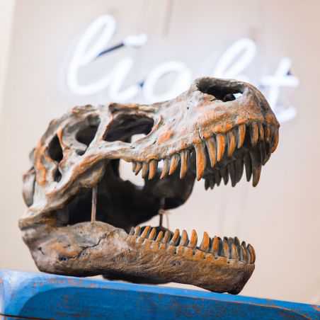 T - Rex Dinosaur Skull Head Retro Ornaments Smithers of Stamford £90.00 Store UK, US, EU, AE,BE,CA,DK,FR,DE,IE,IT,MT,NL,NO,ES...
