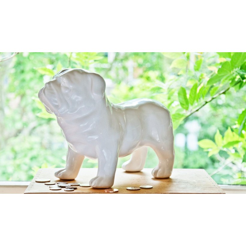 Bulldog Money Box • online store Smithers of Stamford UK