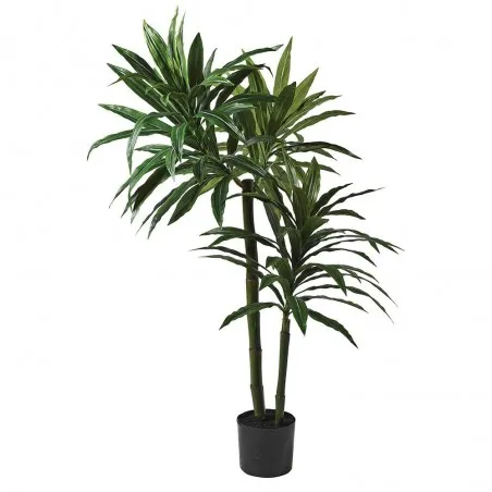 5ft Green Dracaena Plant Smithers This And That £226.00      product_features