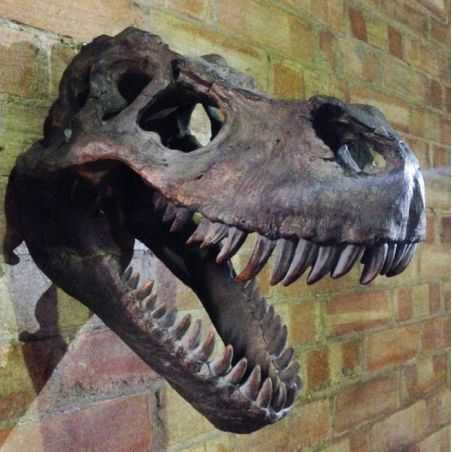 T - Rex Dinosaur Skull Head Retro Ornaments Smithers of Stamford £118.00 Store UK, US, EU, AE,BE,CA,DK,FR,DE,IE,IT,MT,NL,NO,E...