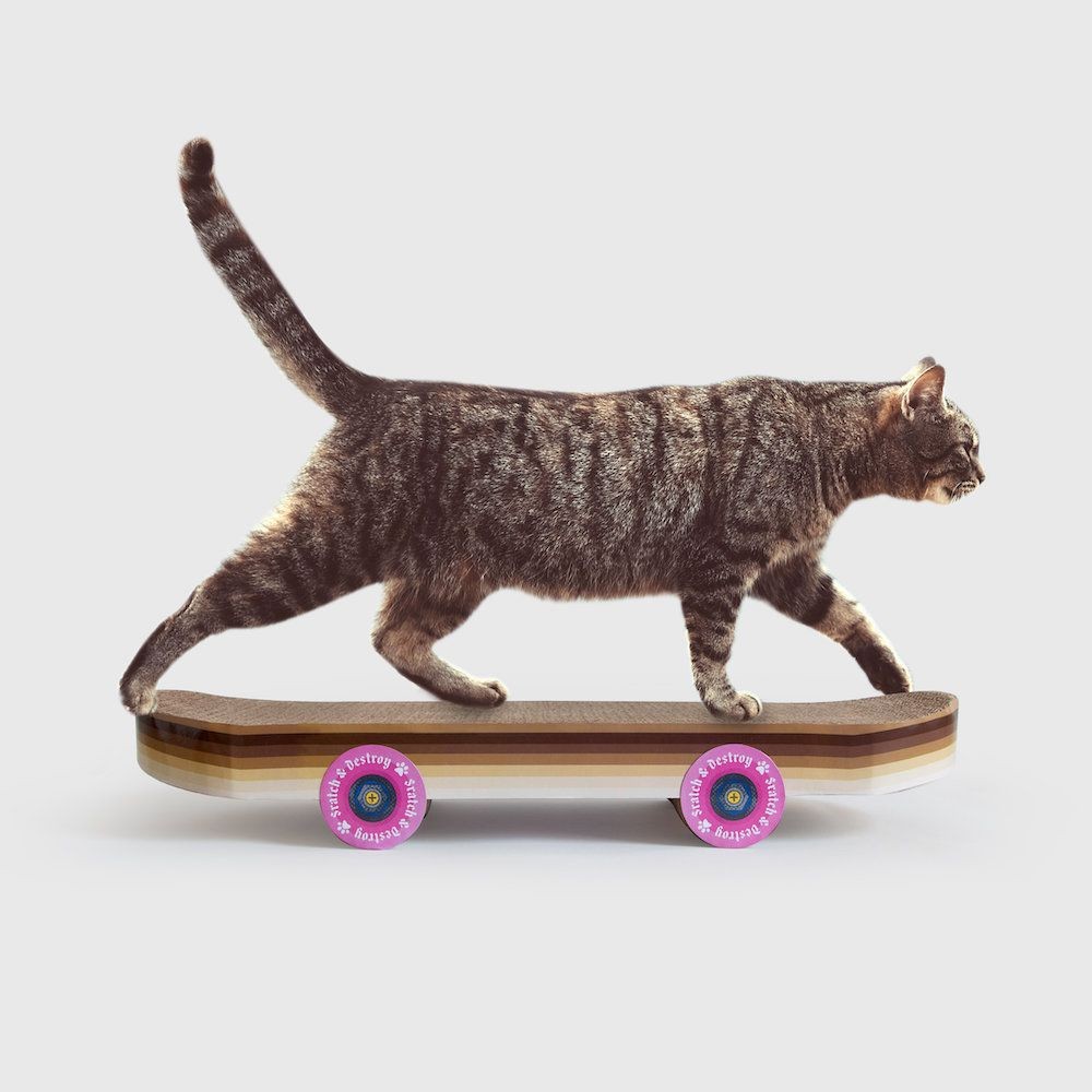 Skateboard Cat Scratcher  Living Room £31.00      product_features