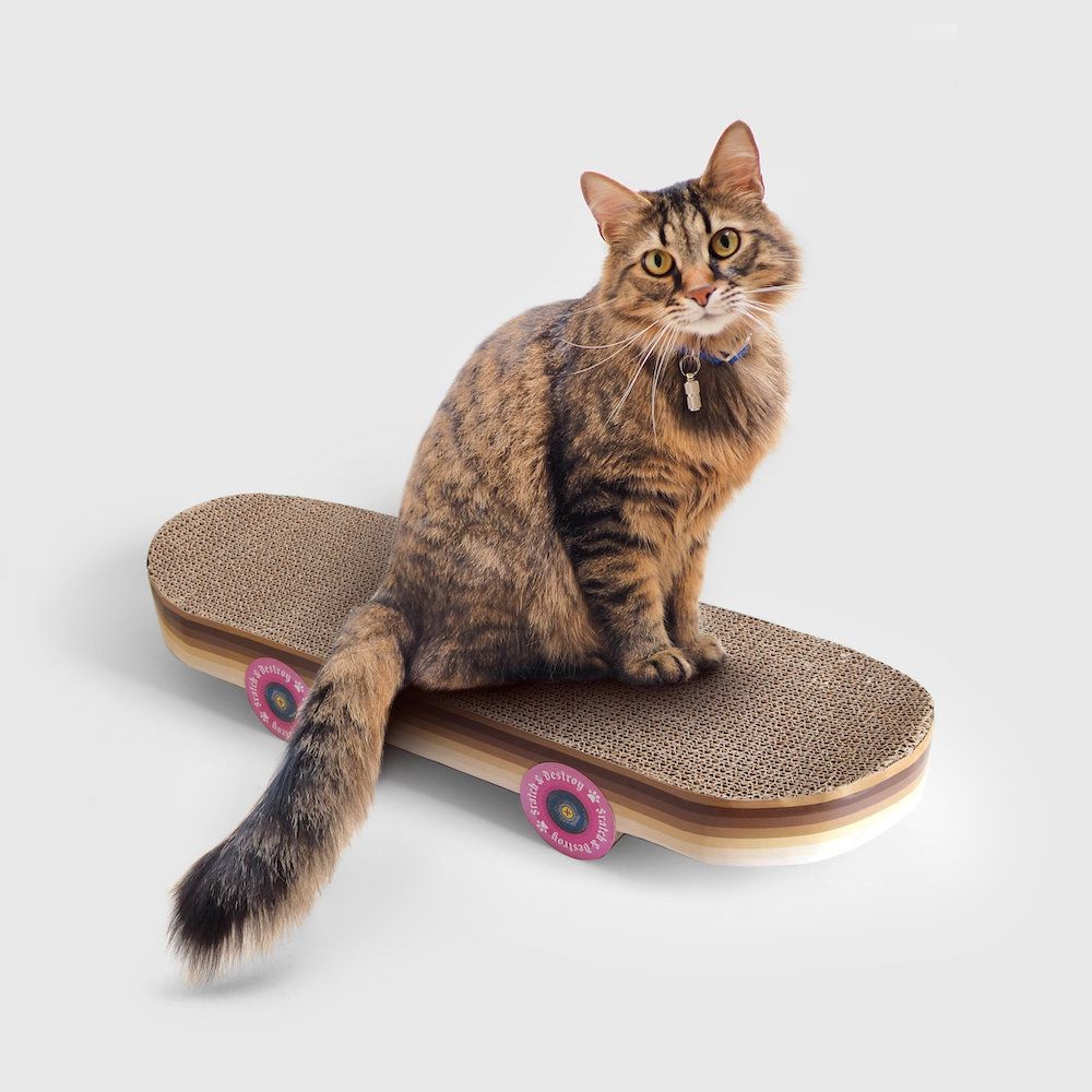 Skateboard Cat Scratcher  Living Room £31.00      product_features