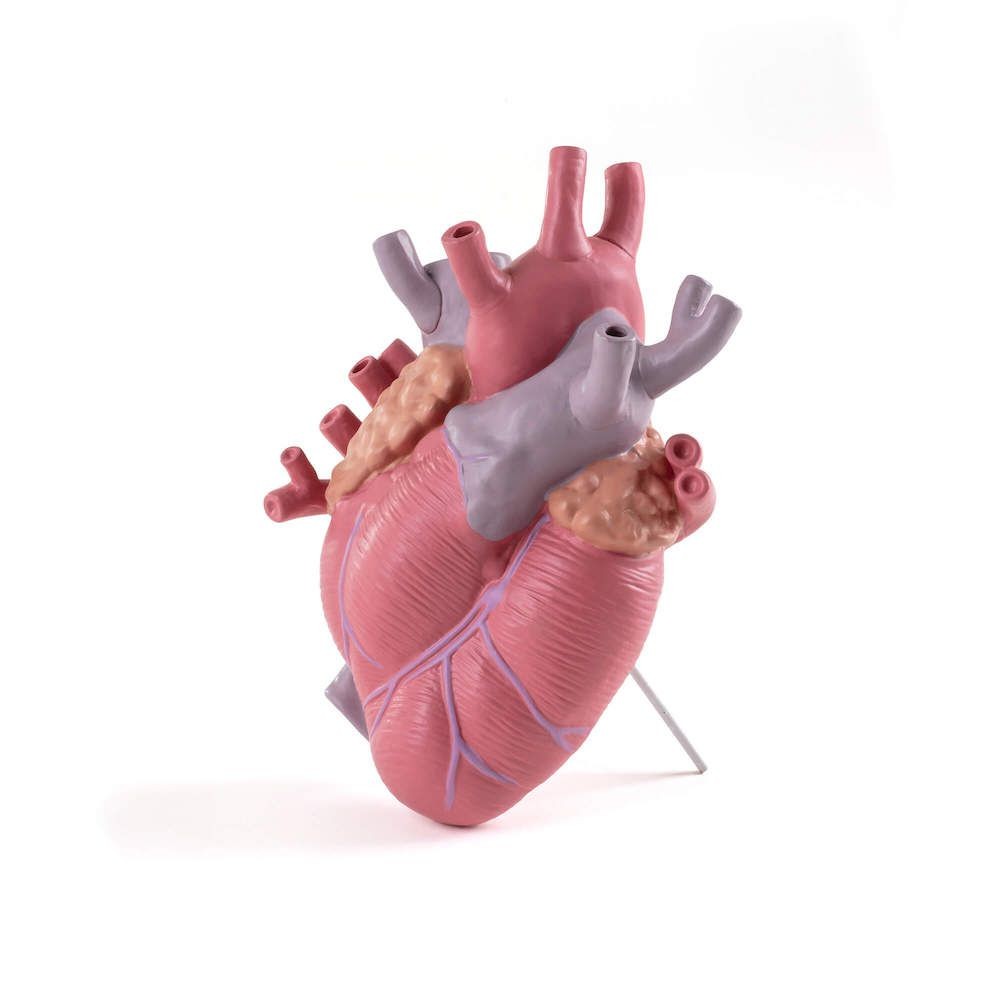 Seletti Love In Bloom Heart Vase - Colour Seletti £81.00 All Rooms product_features