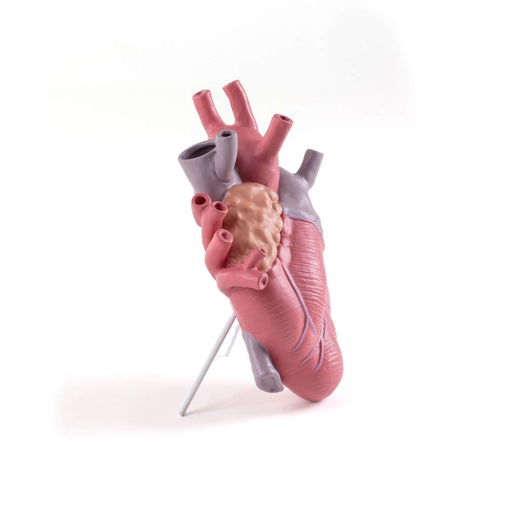 Seletti Love In Bloom Heart Vase - Colour Seletti £81.00 All Rooms product_features