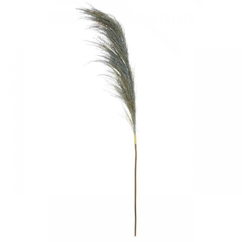 Pampas Blue Grass Stem This And That £8.00 Store UK, US, EU, AE,BE,CA,DK,FR,DE,IE,IT,MT,NL,NO,ES,SE