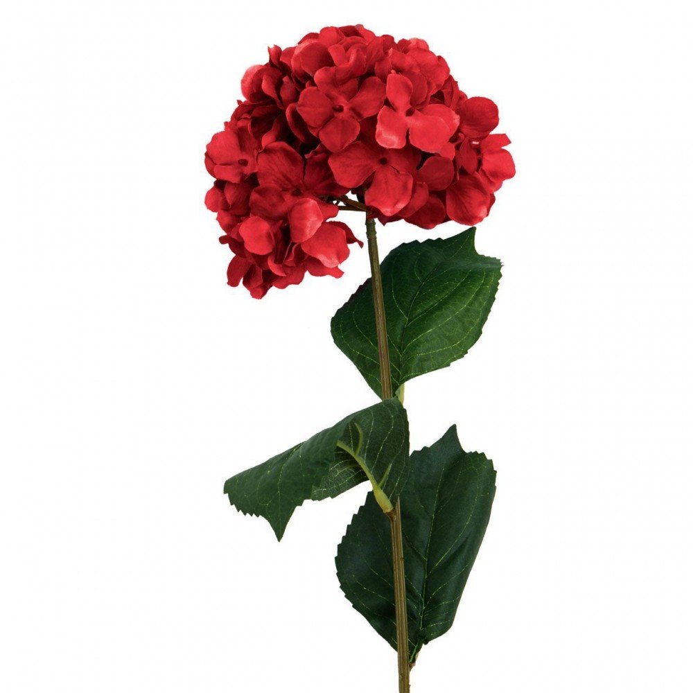 Fiori Flower Stem This And That £9.00