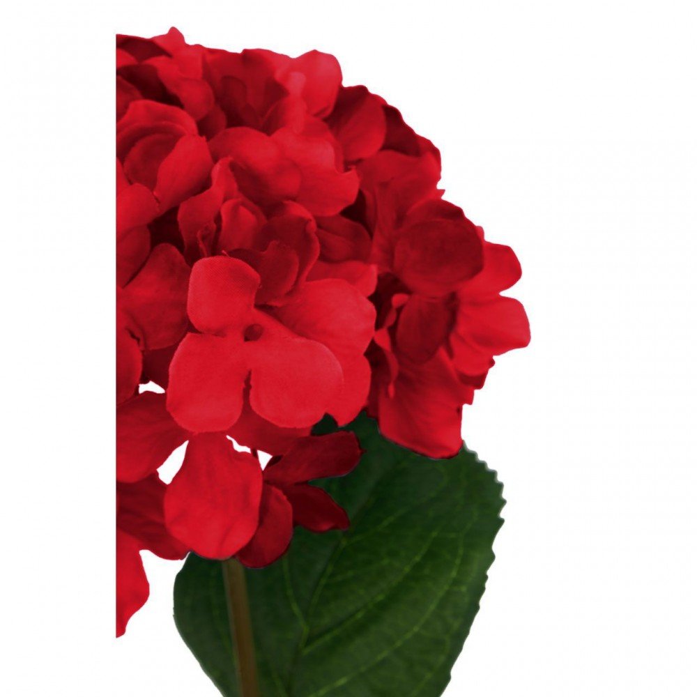 Fiori Flower Stem This And That £9.00