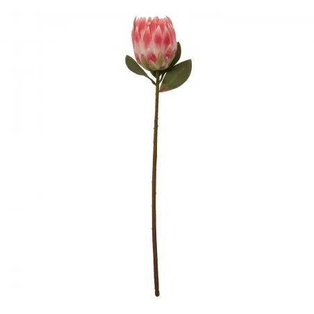 Fiori Pink Flower Stem This And That £25.00 product_features