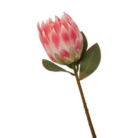 Fiori Pink Flower Stem This And That  £27.00 Store UK, US, EU, AE,BE,CA,DK,FR,DE,IE,IT,MT,NL,NO,ES,SE
