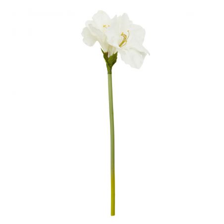 Fiori Ivory Flower Stem This And That  £16.00 Store UK, US, EU, AE,BE,CA,DK,FR,DE,IE,IT,MT,NL,NO,ES,SEFiori Ivory Flower Stem...