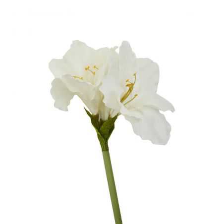 Fiori Ivory Flower Stem This And That  £16.00 Store UK, US, EU, AE,BE,CA,DK,FR,DE,IE,IT,MT,NL,NO,ES,SE