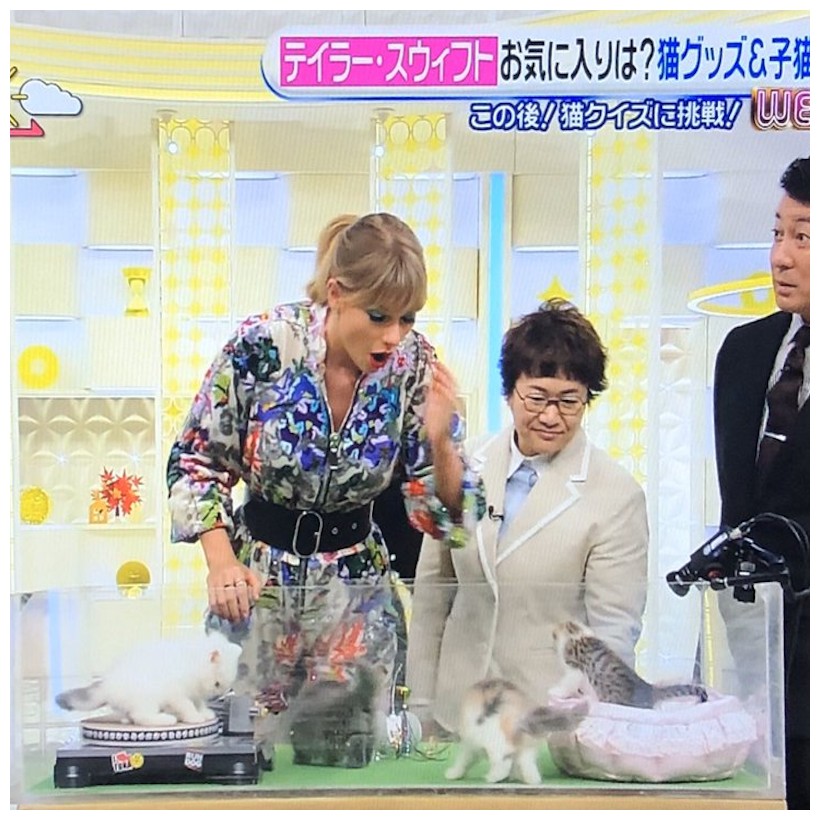 Cat Scratcher Turntables Gift Cats Smithers of Stamford • UK, US