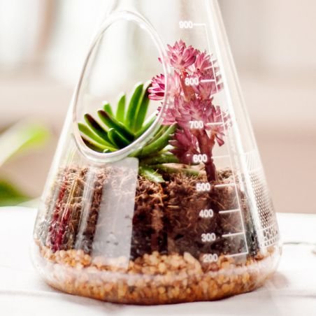 Chemistry Terrarium Kit Retro Gifts SUCK UK £32.00 Store UK, US, EU, AE,BE,CA,DK,FR,DE,IE,IT,MT,NL,NO,ES,SEChemistry Terrariu...