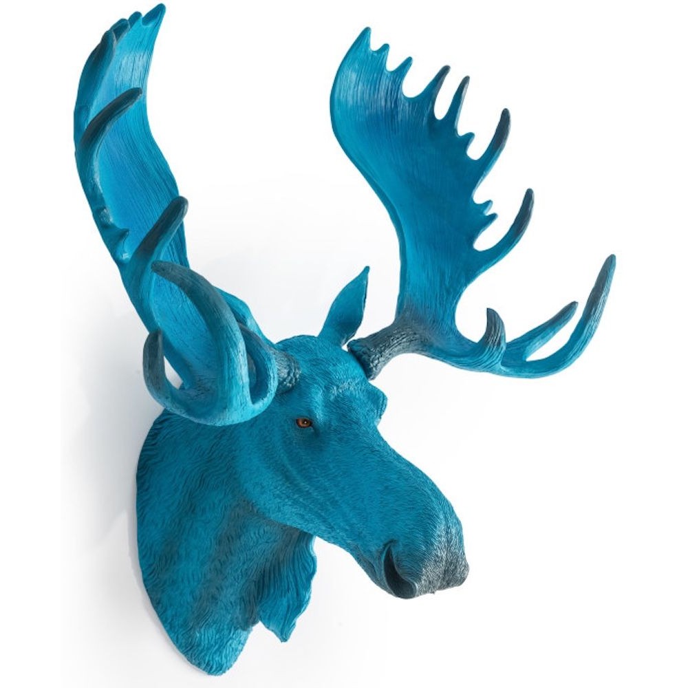 Moose Head Archives £200.00