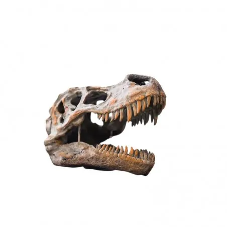 Wall-Mounted T-Rex Dinosaur Head Smithers Retro Ornaments &pound;120.00 product_features