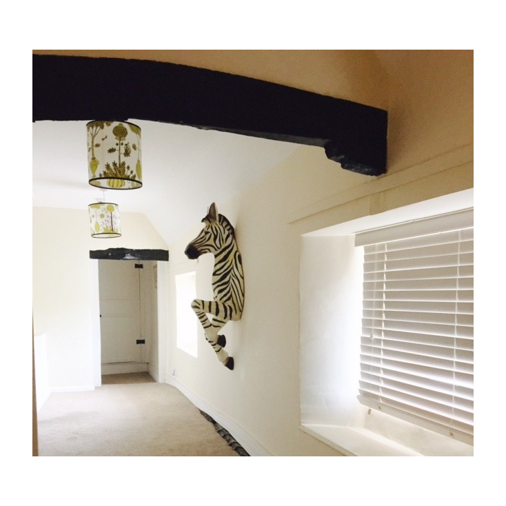 Wall hanging unique zebra home decor for quirky homes