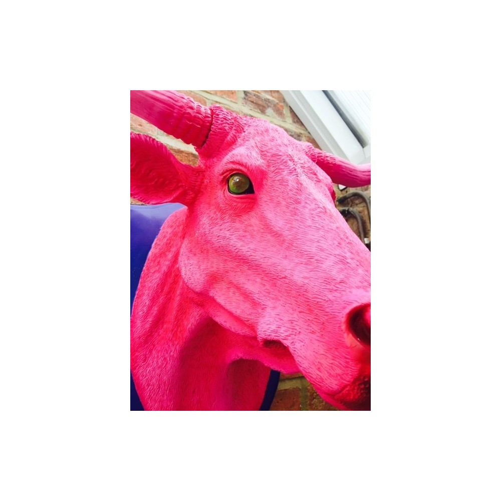 Pink Bull Trophy Head Smithers Archives £222.00      product_features