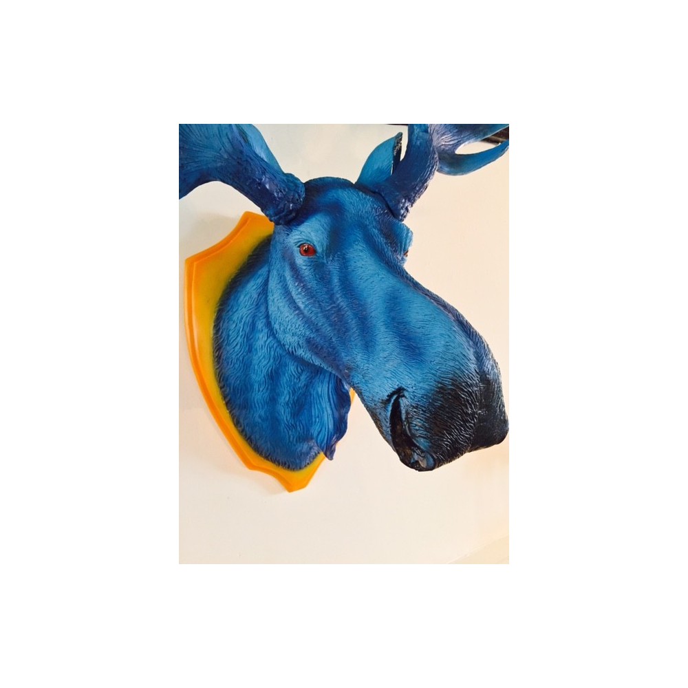 Moose Head Archives £200.00