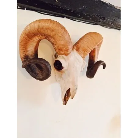 Rams Head Smithers Archives &pound;109.00 Bar product_features