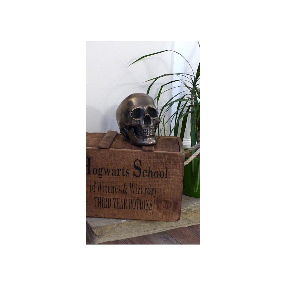 Skeleton Skull Head Smithers Gifts £44.00      product_features