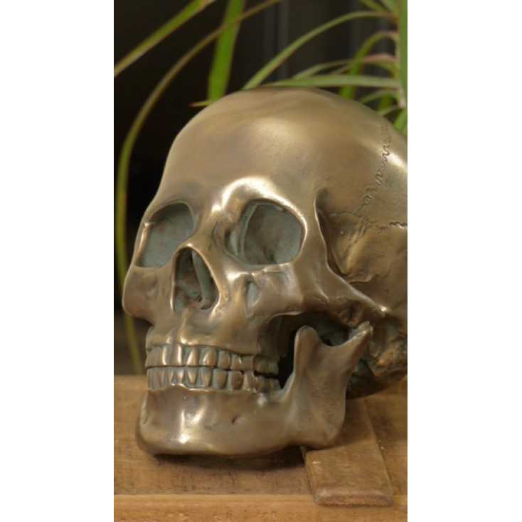 Skeleton Skull Head Retro Gifts Smithers of Stamford £38.00 Store UK, US, EU, AE,BE,CA,DK,FR,DE,IE,IT,MT,NL,NO,ES,SE