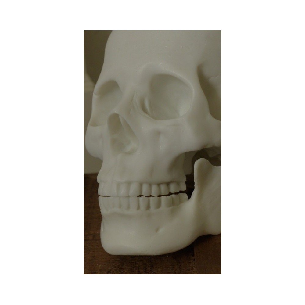 Skeleton Skull Head Smithers Gifts £44.00      product_features
