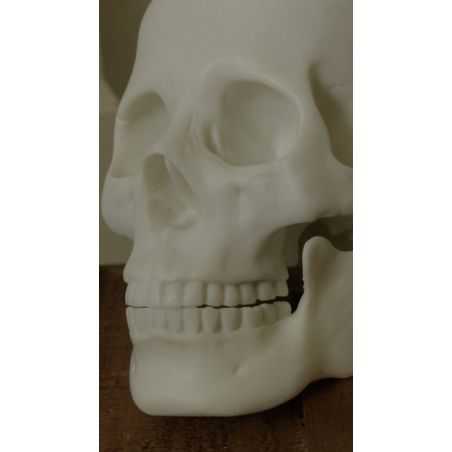Skeleton Skull Head Retro Gifts Smithers of Stamford £48.00 Store UK, US, EU, AE,BE,CA,DK,FR,DE,IE,IT,MT,NL,NO,ES,SESkeleton ...