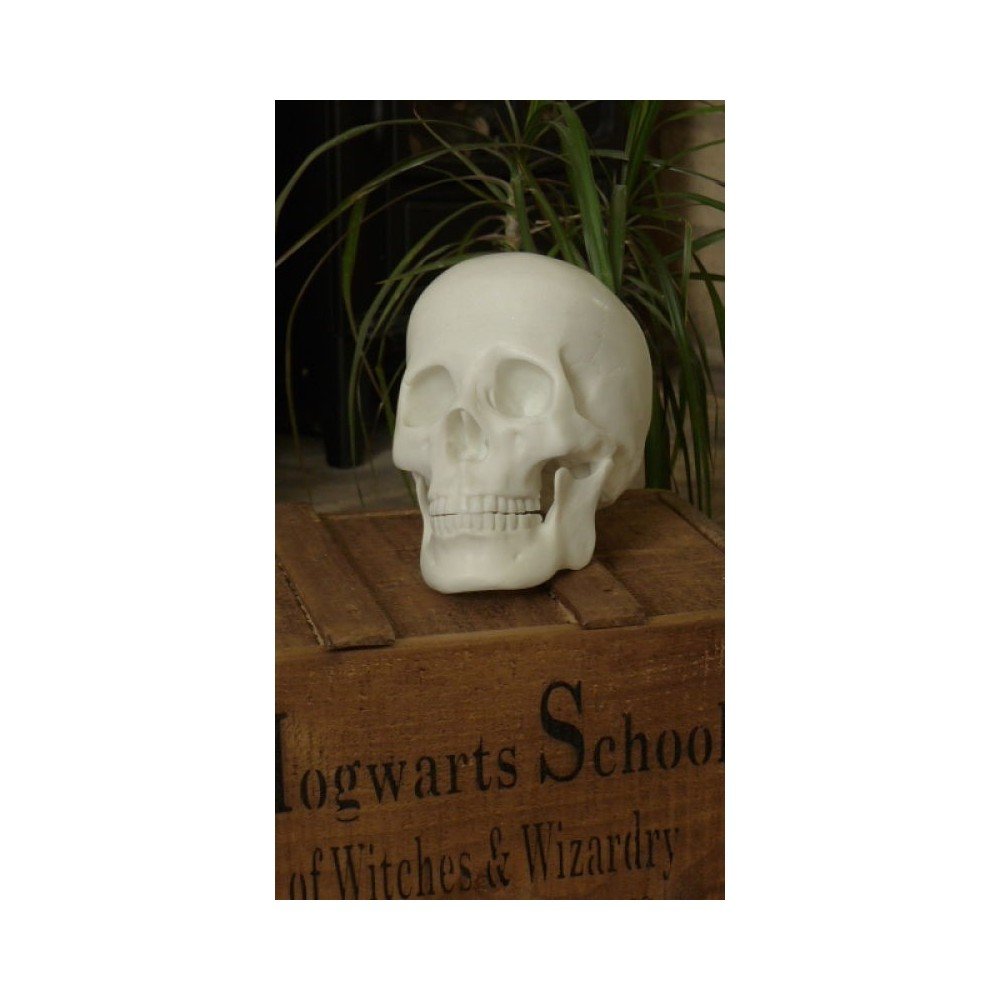 Skeleton Skull Head Smithers Gifts £44.00      product_features
