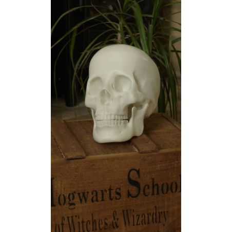 Skeleton Skull Head Retro Gifts Smithers of Stamford £48.00 Store UK, US, EU, AE,BE,CA,DK,FR,DE,IE,IT,MT,NL,NO,ES,SESkeleton ...