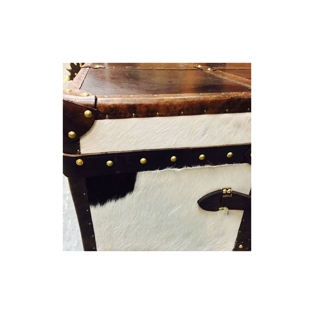 Zebra Hide Trunk Smithers Archives £1,306.00 All Rooms product_features