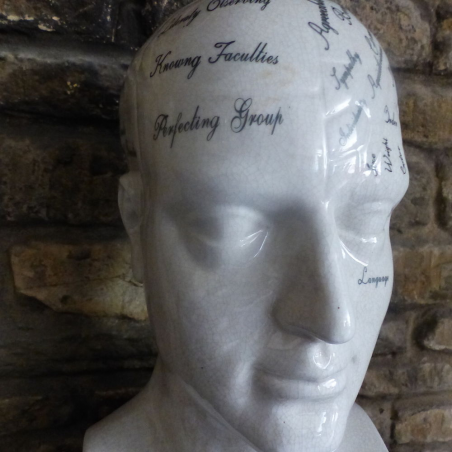 Phrenology Head Smithers Archives Smithers of Stamford £ 65.00 Store UK, US, EU, AE,BE,CA,DK,FR,DE,IE,IT,MT,NL,NO,ES,SE