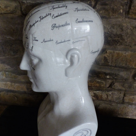 Phrenology Head Smithers Archives Smithers of Stamford £81.25 Store UK, US, EU, AE,BE,CA,DK,FR,DE,IE,IT,MT,NL,NO,ES,SE