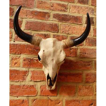 Buffalo Head Mount Smithers Archives Smithers of Stamford £ 60.00 Store UK, US, EU, AE,BE,CA,DK,FR,DE,IE,IT,MT,NL,NO,ES,SE