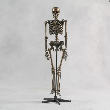 Mr Mort Ality Smithers Archives £874.00 product_features