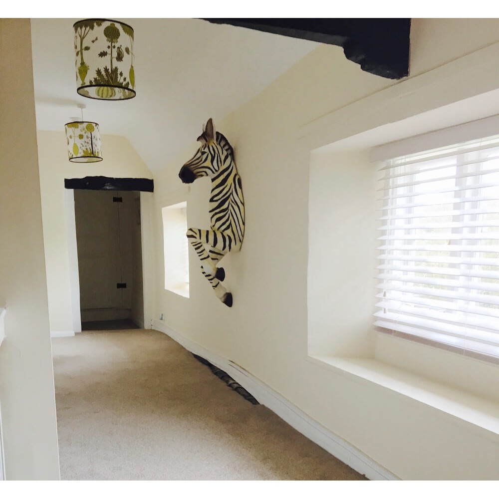Mounted Life Size Zebra – As Seen at Pikes Hotel Ibiza Smithers Archives £455.00 Hallway product_features