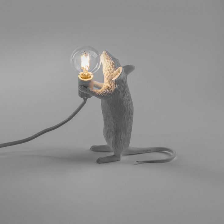 Mouse lamp Seletti Seletti £72.00 Store UK, US, EU, AE,BE,CA,DK,FR,DE,IE,IT,MT,NL,NO,ES,SEMouse lamp -20% £60.00 £57.60 Selet...