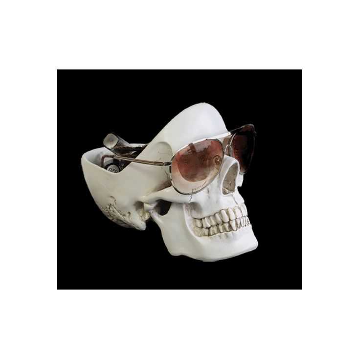  Skull Things  to Buy Skull  Gift Ideas For Him Skull  
