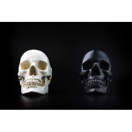 Skull Tidy Retro Gifts Smithers of Stamford £41.00 Store UK, US, EU, AE,BE,CA,DK,FR,DE,IE,IT,MT,NL,NO,ES,SE
