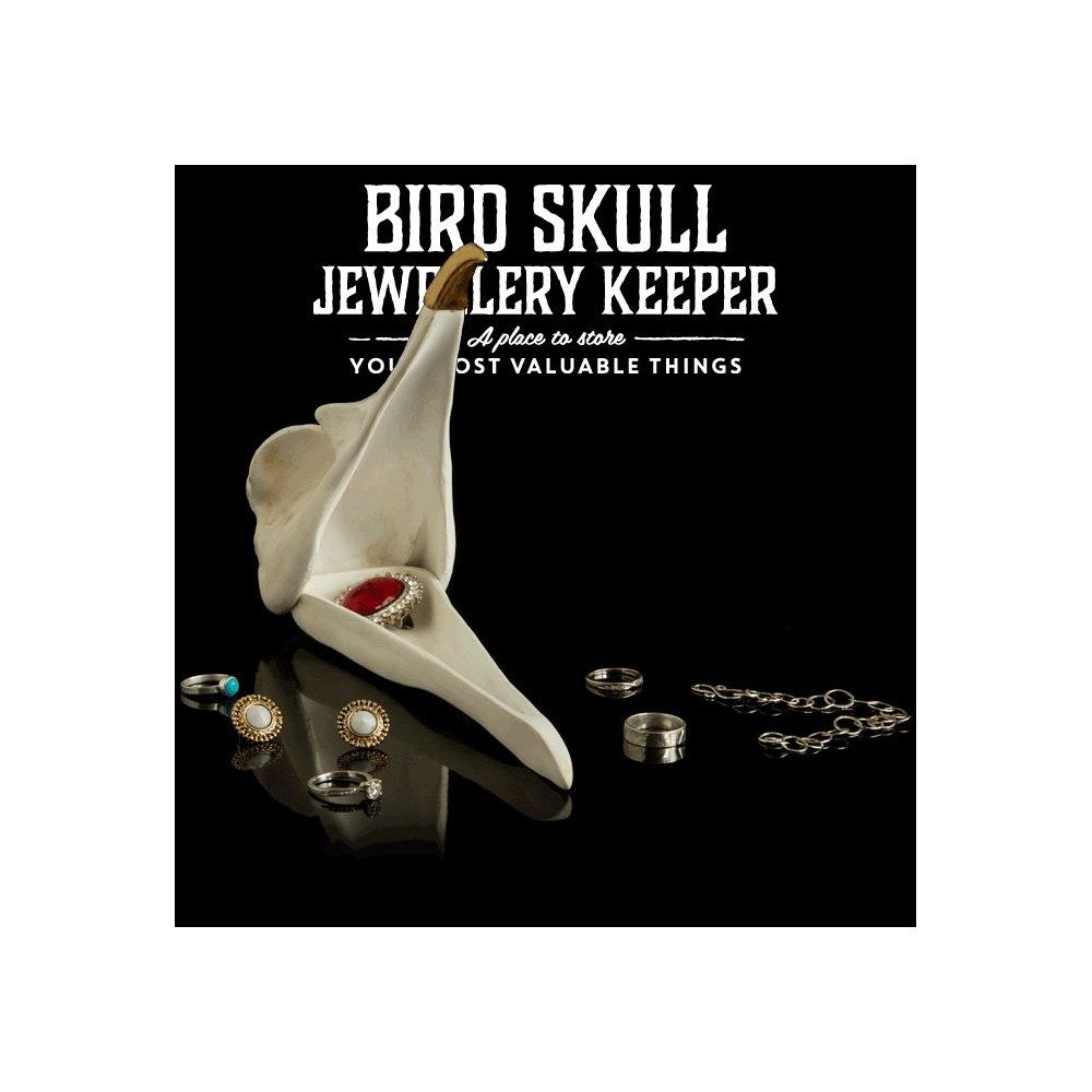 Bird Skull Jewellery Storage Tidy  Personal Accessories £35.00      product_features
