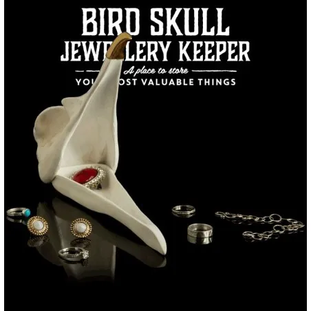 Bird Skull Jewellery Storage Tidy Personal Accessories &pound;35.00 product_features