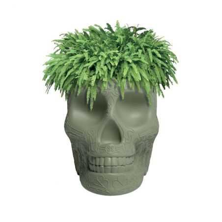 Skull Head Planter And Champagne Bucket Retro Ornaments £257.00 Store UK, US, EU, AE,BE,CA,DK,FR,DE,IE,IT,MT,NL,NO,ES,SE