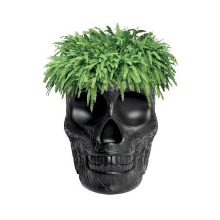 Skull Head Planter And Champagne Bucket Retro Ornaments  £257.00 Store UK, US, EU, AE,BE,CA,DK,FR,DE,IE,IT,MT,NL,NO,ES,SE