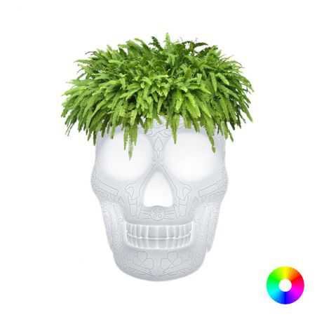 Skull Head Planter And Champagne Bucket Retro Ornaments £257.00 Store UK, US, EU, AE,BE,CA,DK,FR,DE,IE,IT,MT,NL,NO,ES,SE